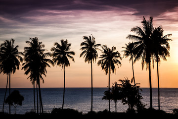 Obraz na płótnie Canvas Tropical sunset over sea with palm trees