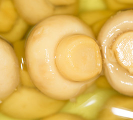 pickled mushrooms