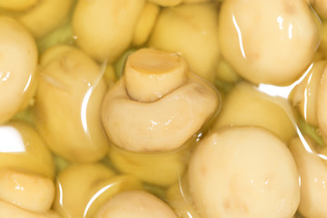 pickled mushrooms