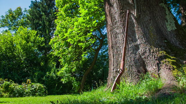 Vintage rifle leaning against a tree