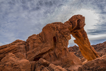 Back lit Elephant rock
