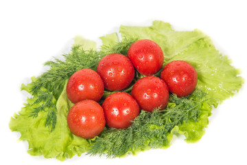 Cherry tomatoes are on green leaf lettuce