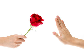 Hand Refused the gift, flowers