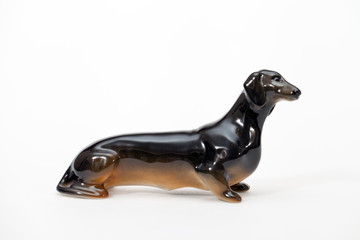 Black smooth-haired dachshund