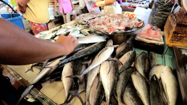 Fresh fish selling on market stall, Phuket, Thailand