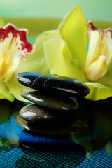 Spa stones with water drops and beautiful blooming orchid in