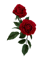 Beautiful red rose isolated on white. - obrazy, fototapety, plakaty