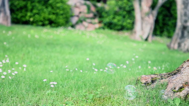 Soap bubbles on grass