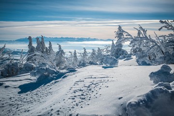 Winter view on Tatra Mountains from Babia Gora - Poland
