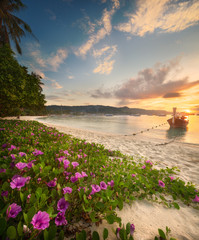 Beautiful beach with colorful flowers and boat