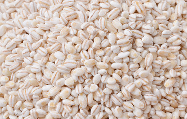 close up of yellow millet food background