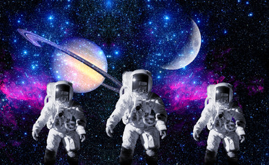 Astronauts Space Planet Moon