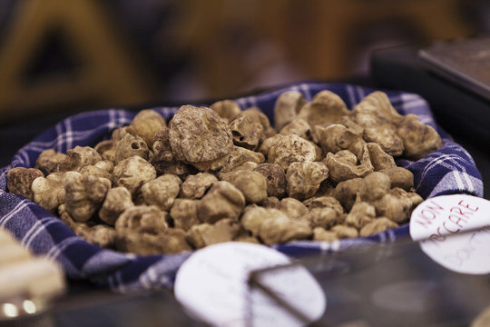 Italian truffles stand