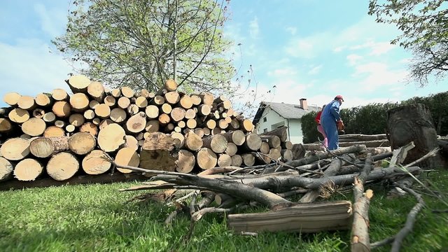 Wide shot with logs on floor and cutted on pile for storage