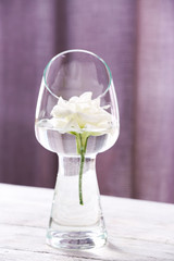 Beautiful white flower in vase with light from window