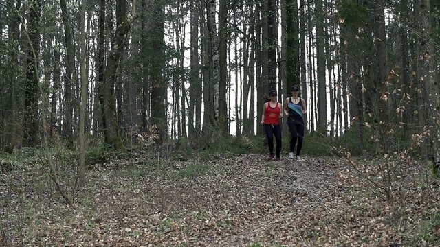 Forest Running In Slow Motion