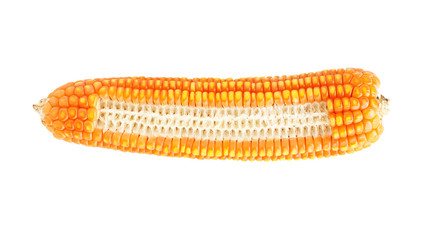 Grains of corn isolated on white background