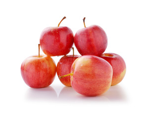 red apple  on white background