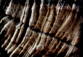 Old wooden background