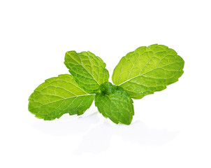 fresh mint leaves on a white background