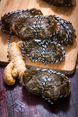 Freshwater crabs