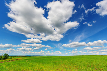 Blue sky over the plain