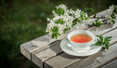 Cup of herbal tea, artistic - art photo