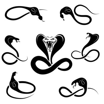 Vector snakes black silhouettes