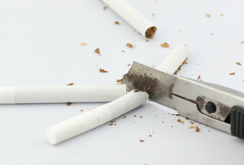 cutter cuting the cigerette