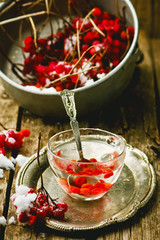 fresh berries of a guelder-rose in a glass cup
