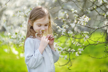 Adorable little girl in blooming cherry garden