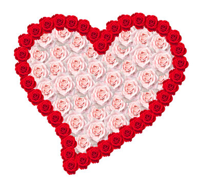 Heart of roses on white background