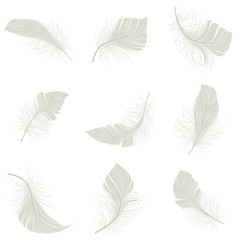 Feather Icons Set
