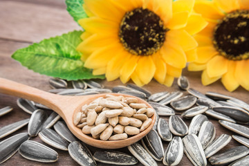 Sunflower seed on wooden spoon