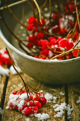 fresh berries of a guelder-rose on a wooden table.