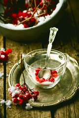 fresh berries of a guelder-rose in a glass cup