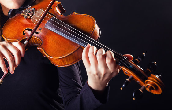 Violin