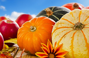 Pumpkins , apples and  fall leaves