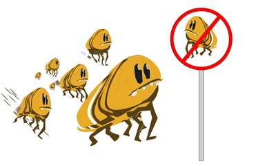 Flea not allowed