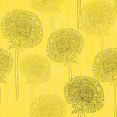 Fototapeta na wymiar Seamless pattern of dandelions . Hand-drawn floral background,