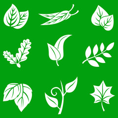 Leaves set on green background