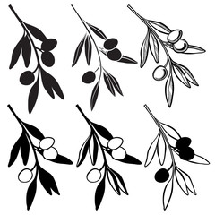 Set of olive branch  isolated on white background. Hand drawn ve
