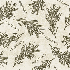 Seamless pattern with rosemary. Hand-drawn floral background. M