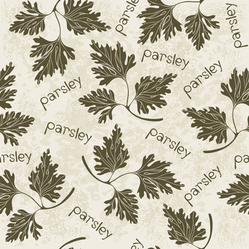 Seamless pattern with parsley. Hand-drawn floral background. Mo