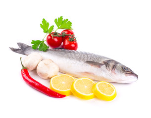 Fresh seabass fish