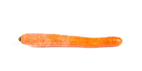 Carrot isolated