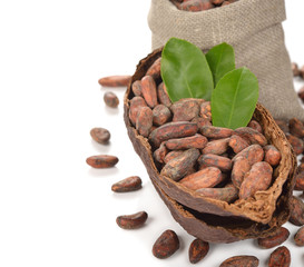 Natural cocoa beans