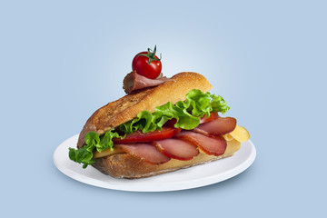 tasty sandwich on a light background