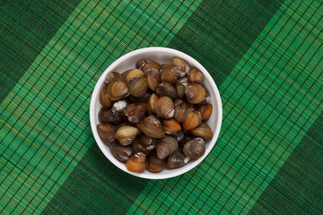 A plate with uncooked mussels on a green mat
