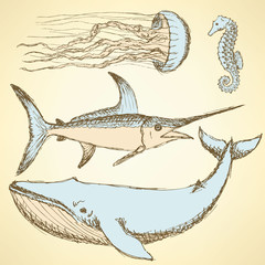 Sketch sea creatures in vintage style - 77453838